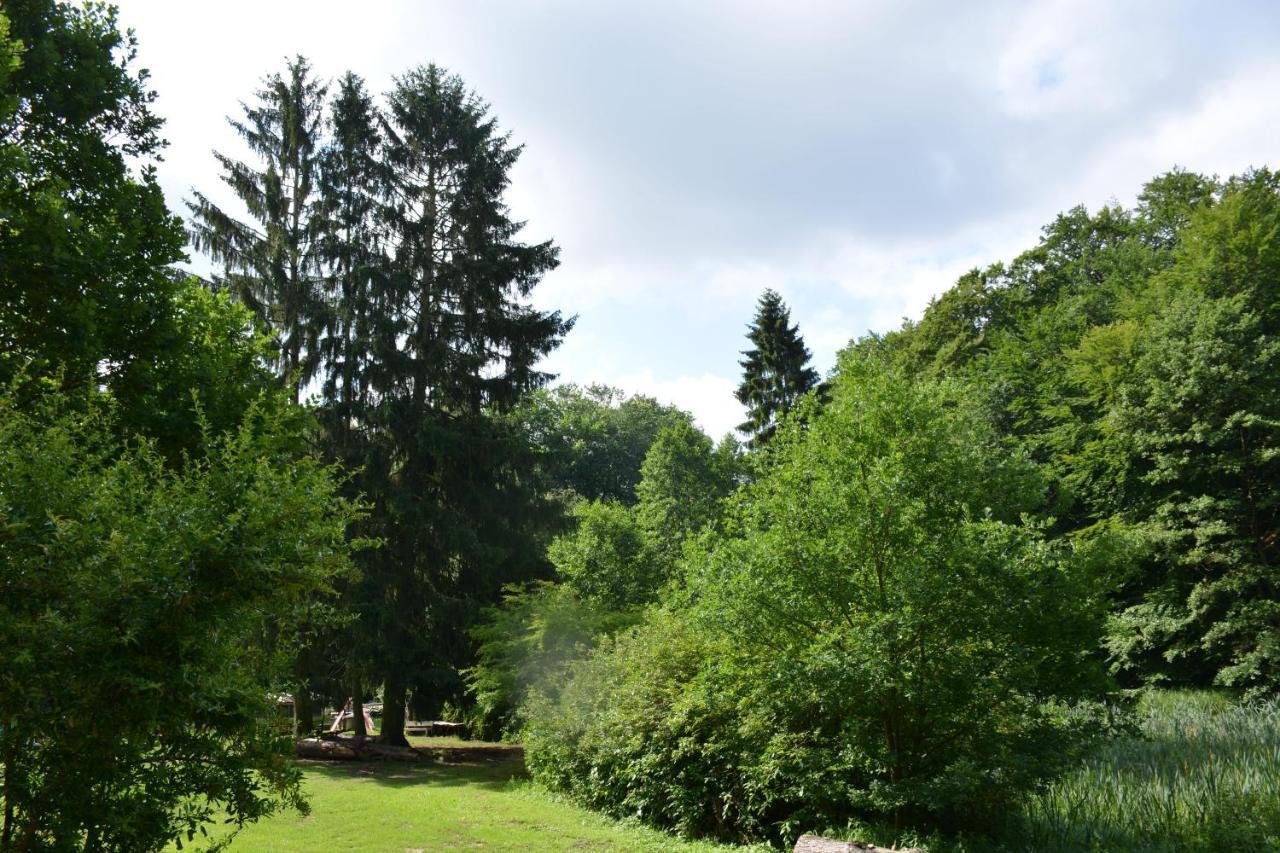Bungalows Am Waldessaum Bei Hohenzieritz Kültér fotó