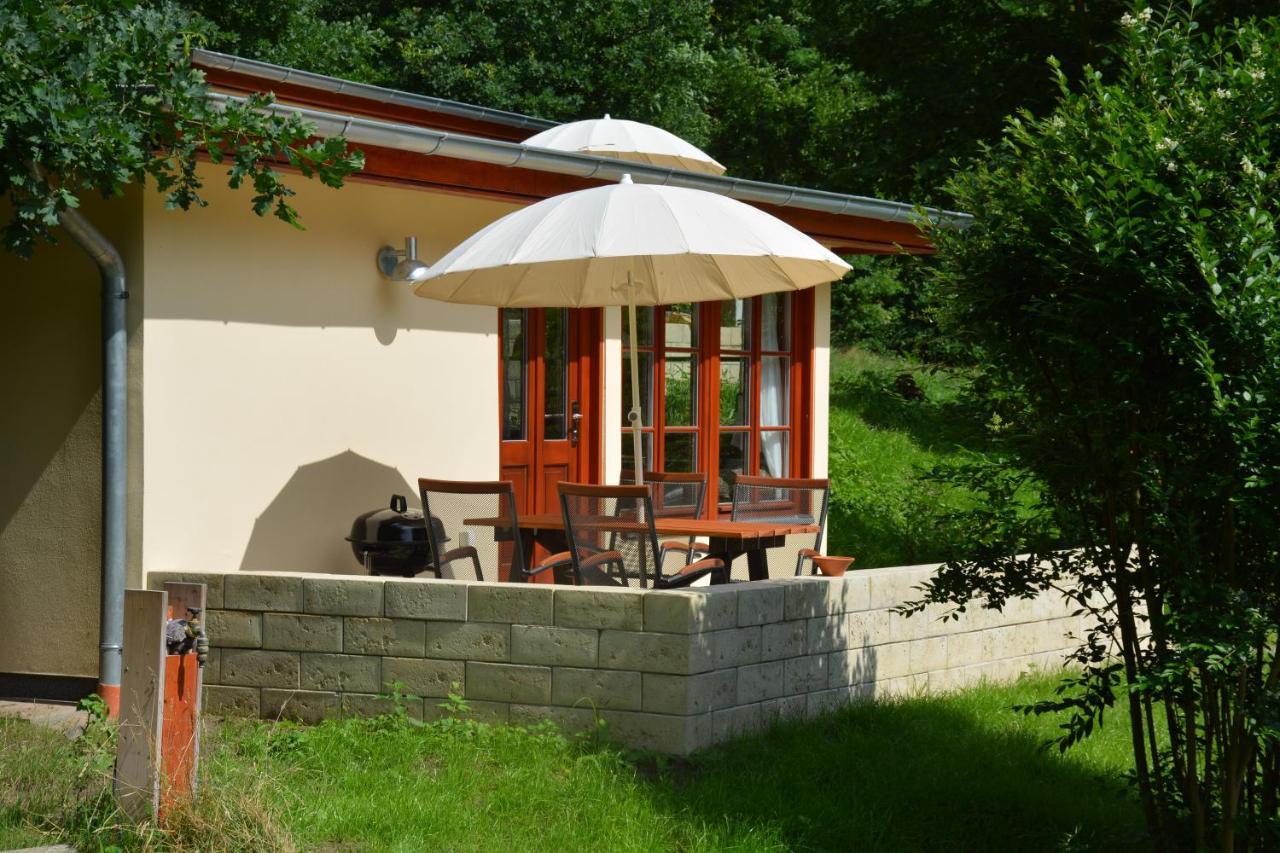 Bungalows Am Waldessaum Bei Hohenzieritz Kültér fotó